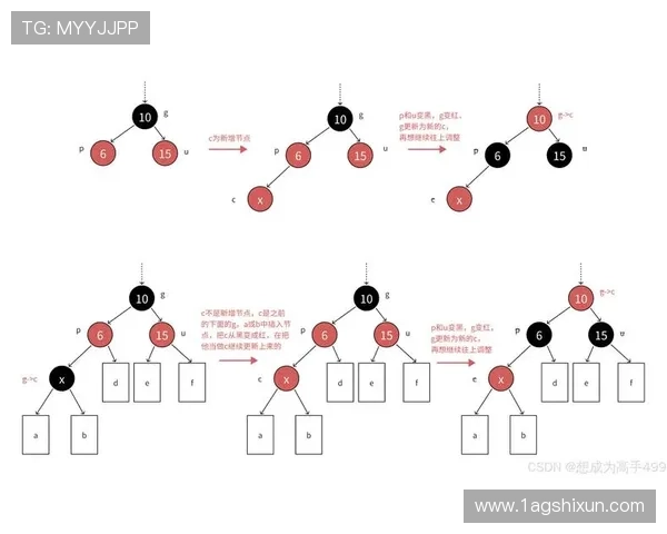 深入解析白金彩币的含义与价值 深入解析白金彩币的含义与价值